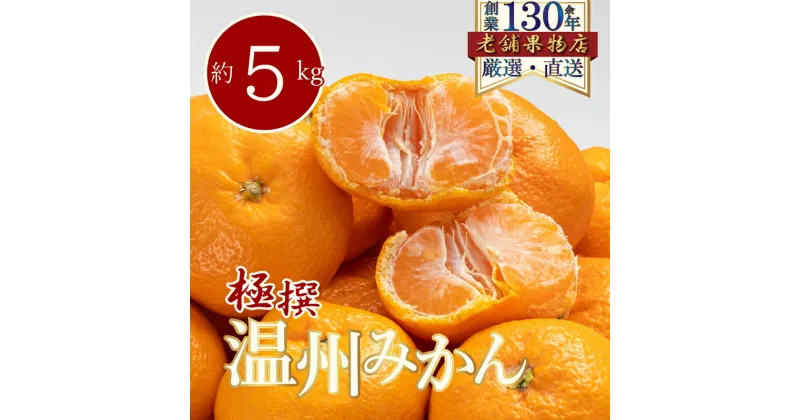 【ふるさと納税】極撰！温州みかん　約5kg　綾川町　お届け：2024年11月中旬～2025年1月下旬