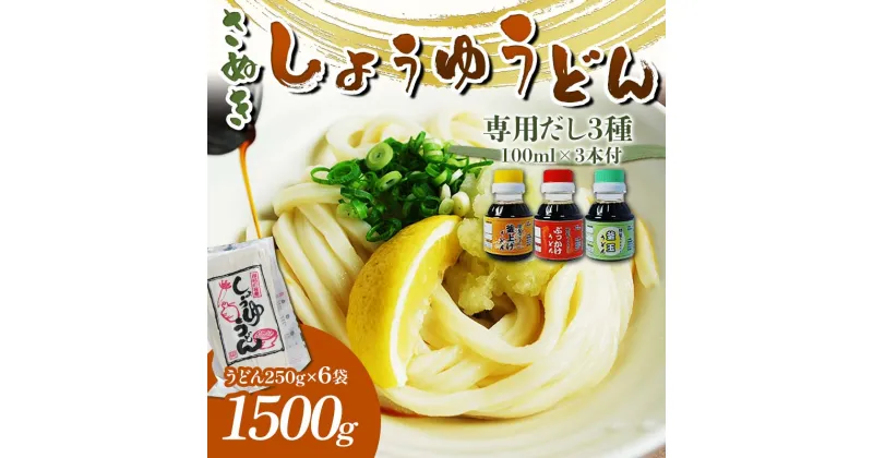 【ふるさと納税】さぬき醤油うどん (1500g) 専用だし3種付 セット さぬきうどん 讃岐 うどん ぶっかけ 釜揚げ 釜玉 だし だし醤油 麺 名物 ご当地 グルメ 食品 四国 F5J-333