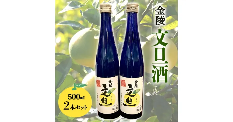 【ふるさと納税】【香川県多度津町・琴平町共通返礼品】 金陵 文旦酒 2本セット (500ml×2) 果実酒 文旦 リキュール 酒 アルコール セット ギフト 贈り物 四国 F5J-308