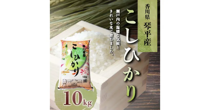 【ふるさと納税】令和6年度産 新米 香川県琴平産コシヒカリ 10kg 《入金後2週間以内に発送》 銘柄米 ブランド米 国産 こしひかり コシヒカリ 米 精米 お米 ライス ギフト 贈り物 四国 F5J-602