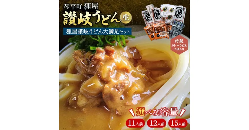 【ふるさと納税】特製カレーうどんつゆ入り 狸屋讃岐うどん大満足セット 詰合せ 生うどん カレー つゆ うどん 本場 讃岐 讃岐うどん さぬきうどん ご当地 グルメ 名産品 食品 四国 F5J-442var