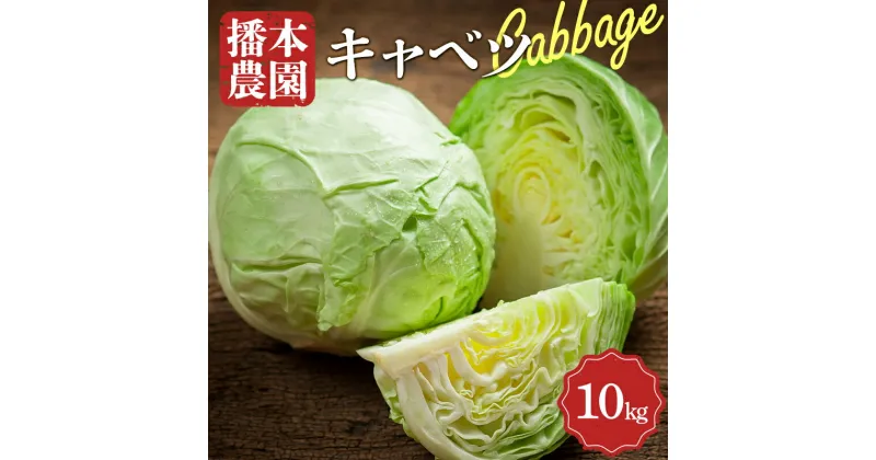 【ふるさと納税】＜先行予約＞播本農園のキャベツ 10kg キャベツ 甘い 野菜 サラダ 食品 四国 F5J-189