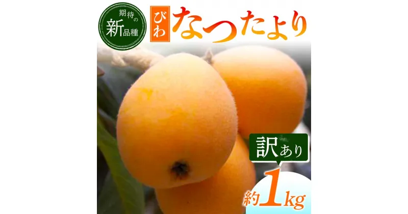 【ふるさと納税】【香川県共通返礼品】なつたよりびわ 約1kg 訳あり びわ なつたより 大玉 柔らかい 香川県共通返礼品 食品 名産 四国 香川 F5J-673