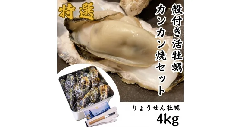 【ふるさと納税】殻付き活牡蠣カンカン焼セット 4kg (加熱用)【予約受付中：旬にお届け！2025年1月頃から期間限定出荷！】〔提供：株式会社 牡蠣屋りょうせん〕殻付き 活牡蠣 約4kg（加熱用） 香川県白方産 期間限定 産地直送 カンカン焼 白方牡蠣