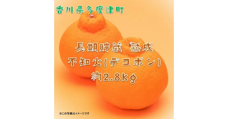 【ふるさと納税】長期貯蔵 熟成 不知火（でこぽん）約2.8kg【令和7年5月中旬より発送】〔提供：株式会社ことひら街道〕 しあわせ製麺 甘い ジューシー 季節限定 フルーツ くだもの 香川県 多度津町 旬 新鮮 ふるーつ 果物