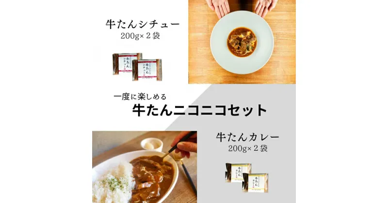 【ふるさと納税】牛たんニコニコセット〔提供：ぶつぎりたんちゃん〕牛タン 牛たん カレー シチュー 簡単 便利 美味しい スパイス 団欒 便利