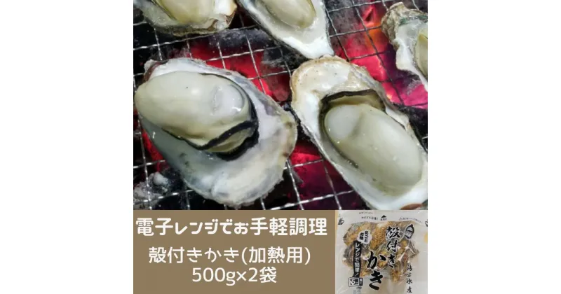 【ふるさと納税】白方かき 電子レンジでお手軽調理　殻付きかき(加熱用)　500g×2袋【令和7年1月頃から4月頃までの期間限定出荷】〔提供：有限会社 海宝水産〕牡蠣 香川県 白方沖