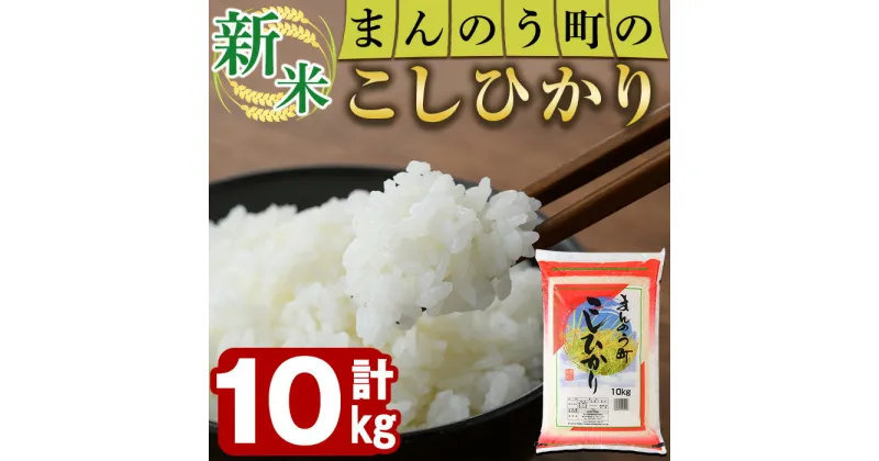 【ふるさと納税】＜令和6年産新米＞香川県まんのう町産 コシヒカリ(10kg)国産 お米 こしひかり ご飯 白米 ライス【man028】【香川県食糧事業協同組合】