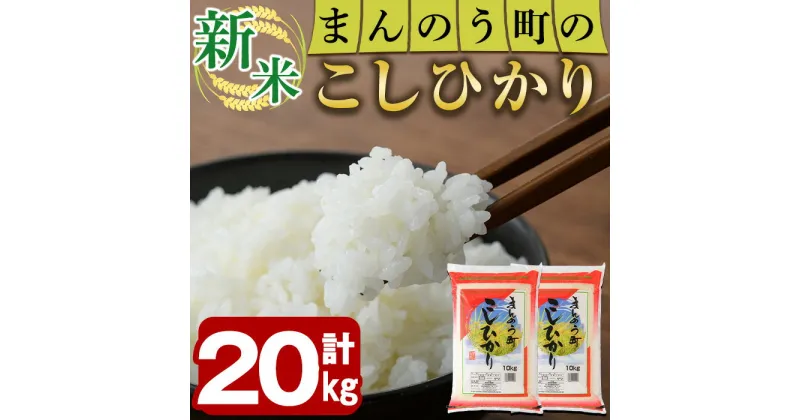 【ふるさと納税】＜令和6年産新米＞香川県まんのう町産 コシヒカリ(20kg)国産 お米 こしひかり ご飯 白米 ライス【man030】【香川県食糧事業協同組合】