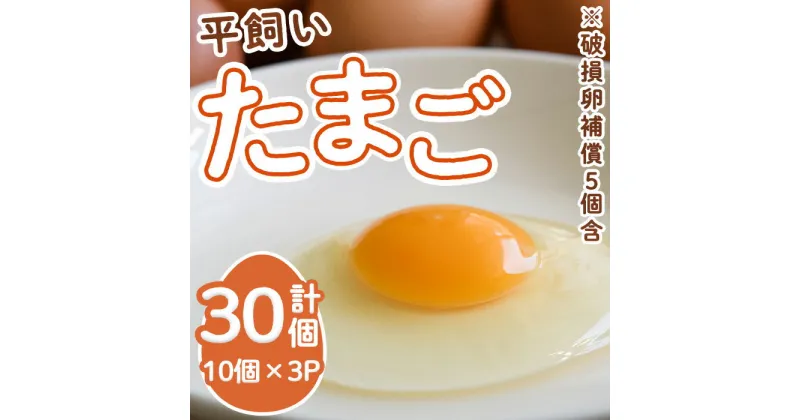 【ふるさと納税】＜数量限定＞ 香川県産 平飼い たまご (計30個・10個×3パック) 国産 たまご 卵 鶏卵 産地直送 卵かけご飯 卵焼き 【man120】【翔洋舎】