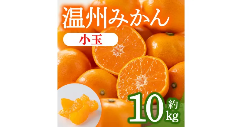 【ふるさと納税】＜期間限定！2024年10月上旬以降順次発送予定＞香川県産 温州みかん (約10kg/小玉)国産 果物 果実 くだもの フルーツ みかん 蜜柑 産地直送 ミニ 小さい ミカン オレンジ 柑橘 【man079】【Aglio nero】