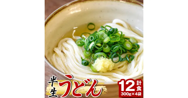 【ふるさと納税】「なかむらうどん」＜つゆ付＞ 半生うどんセット(12食分・300g×4袋) うどん 讃岐うどん 本場 讃岐 半生 小麦 麺 さぬき 釜玉 醤油 ぶっかけうどん 釜揚げコシ 常温 常温保存 【man144】【なかむら】