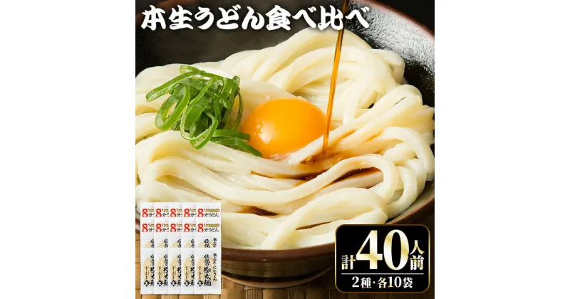 【ふるさと納税】うどんバカ店長 (合計40食分) 2種 本場 讃岐 讃岐うどん さぬき 香川県 本生うどん 食べ比べ セット 純生タイプ 細麺 8分うどん 極太麺 伝説の極太麺 福袋 小麦 麺 釜玉 醤油 ぶっかけうどん 釜揚げ 名産品 コシ 常温 常温保存 【man006】【味源】