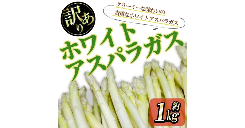 【ふるさと納税】＜先行予約！2025年3月上旬以降順次発送予定＞＜訳あり＞ホワイトアスパラガス　(約1kg)　家庭用 国産 香川県 冷蔵 アスパラガス アスパラ ホワイトアスパラ ホワイトアスパラガス クリーミー 野菜 訳あり お試し 自宅用 【man081】【Aglio nero】