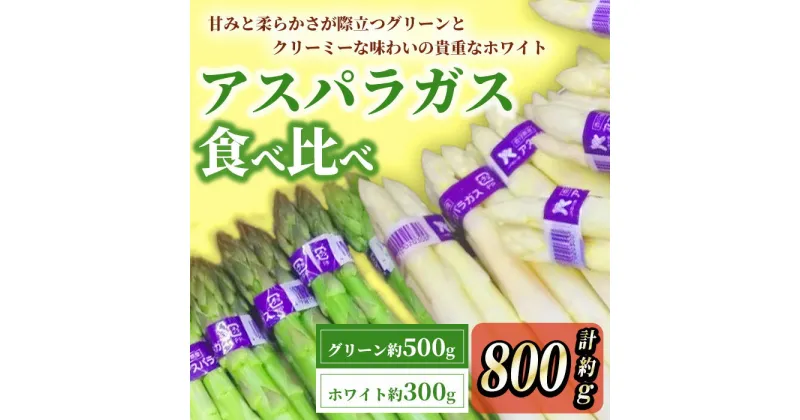 【ふるさと納税】＜先行予約！2025年3月上旬以降順次発送予定＞アスパラガス食べ比べ（約500g/グリーン・約300g/ホワイト） 国産 香川県 冷蔵 アスパラガス アスパラ グリーンアスパラ ホワイトアスパラ 歯ごたえ 甘み クリーミー 【man085】【Aglio nero】