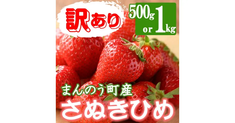 【ふるさと納税】＜先行予約！2025年3月下旬以降順次発送予定＞＜訳あり＞＜選べる容量＞香川県産 さぬきひめいちご(約500g・約1kg)国産 果物 くだもの 苺 イチゴ フルーツ 産地直送 新鮮 冷蔵便 【man106・man107】【Aglio nero】