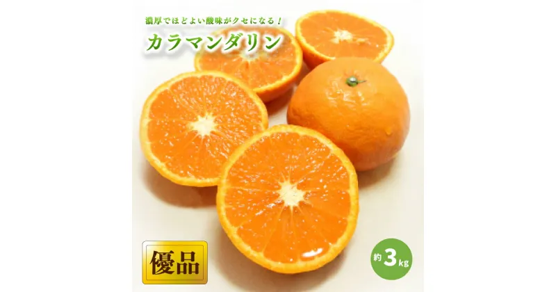 【ふるさと納税】 カラマンダリン ＜優品＞ 約 3kg | 愛媛 みかん 先行予約 蜜柑 柑橘 果物 くだもの フルーツ お取り寄せ グルメ 期間限定 数量限定 人気 おすすめ 愛媛県 松山市