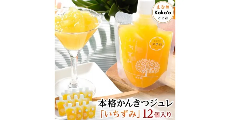 【ふるさと納税】 本格かんきつジュレ「いちずみ」12個入り（簡易BOX入り） | 飲むゼリー 果物 フルーツ 柑橘 みかんジュレ お取り寄せスイーツ お菓子 フルーツジュレ ギフト ゼリー フルーツゼリー みかんゼリー 蜜柑ゼリー みかん 楽天ふるさと 納税 愛媛県 愛媛 松山市