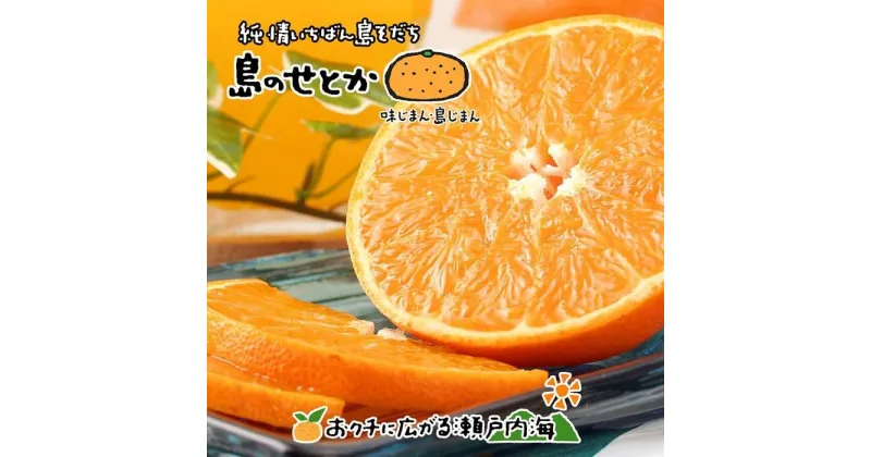 【ふるさと納税】 【3月上旬から発送】 せとか 約1.5kg（6玉） 特選品 大玉 愛媛 中島産 | みかん 愛媛 先行予約 柑橘 果物 くだもの フルーツ お楽しみ お取り寄せ グルメ 期間限定 数量限定 人気 おすすめ ギフト 愛媛県 松山市