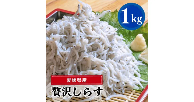 【ふるさと納税】愛媛県産 大容量 贅沢 しらす 1kg ( 1kg × 1パック ) | 約15人前 しらす丼 丼ぶり 魚 さかな ご飯 ごはん 炒飯 チャーハン パスタ スパゲティ サラダ 卵焼き お取り寄せ グルメ 人気 おすすめ 愛媛県 松山市