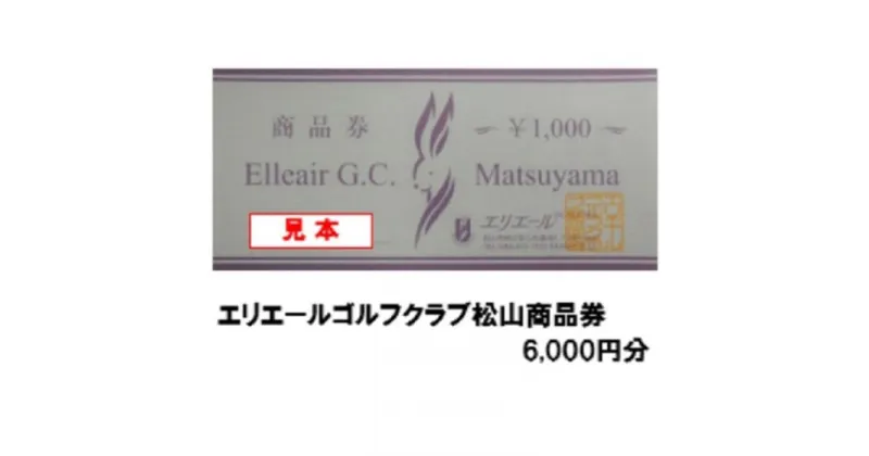 【ふるさと納税】 エリエールゴルフクラブ松山 レストラン利用券　6,000円分