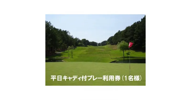 【ふるさと納税】 エリエールゴルフクラブ松山 平日キャディ付プレー利用券1名