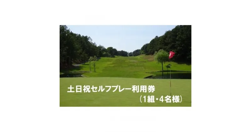 【ふるさと納税】 エリエールゴルフクラブ松山 土日祝セルフプレー利用券4名1組