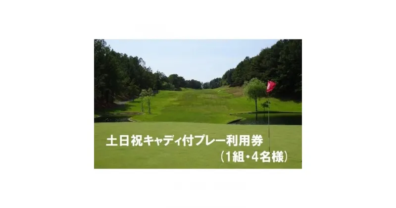 【ふるさと納税】 エリエールゴルフクラブ松山 土日祝キャディ付プレー利用券4名1組 | ゴルフ プレゼント ギフト チケット ゴルフ券 ゴルフチケット ゴルフプレー券 金券 誕生日プレゼント 父親 ゴルフ場 体験 体験ギフト 祖父 楽天ふるさと 納税 愛媛県 愛媛 松山市