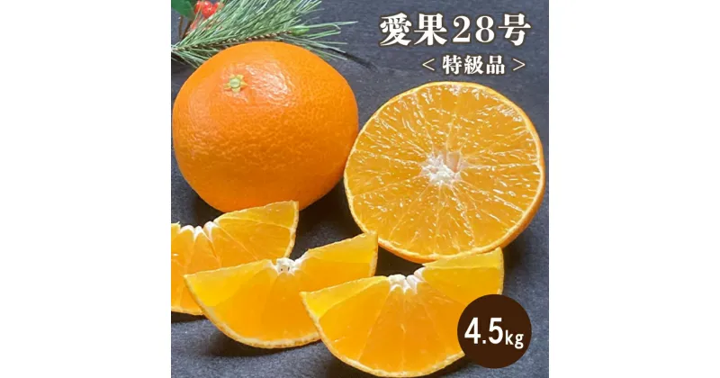 【ふるさと納税】 【12月より発送】 特級品 愛果28号 4.5kg | みかん 柑橘 愛果28号 みかん あいか 果物 フルーツ 松山市 愛媛県 田村農園 柑橘 みかん 果物 くだもの フルーツ おすすめ 高級 人気 お取り寄せ グルメ ギフト 期間限定 数量限定 ご当地 愛媛県 松山市