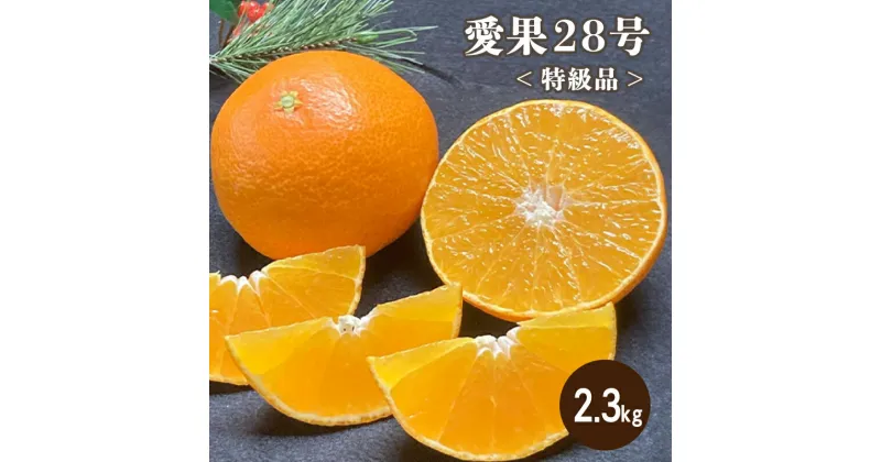 【ふるさと納税】 【12月より発送】 特級品 愛果28号 2.3kg | みかん 柑橘 愛果28号 みかん あいか 果物 フルーツ 松山市 愛媛県 田村農園