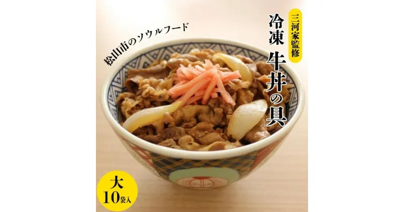 【ふるさと納税】三河家監修 冷凍 牛丼 (大) 170g × 10食 1979年創業 三河家監修 松山 ソウルフード ご飯 牛丼 牛肉 冷凍 小分け 便利 お惣菜 グルメ ご飯のお供 人気 おすすめ 愛媛県 松山市