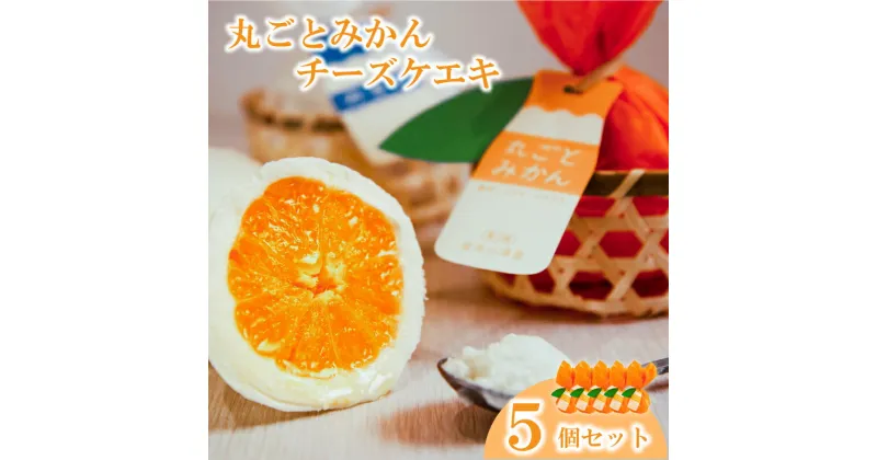 【ふるさと納税】丸ごとみかんチーズケエキ5個セット チーズケーキ お菓子 道後温泉 スイーツ おやつ みかん レアチーズ ケーキ