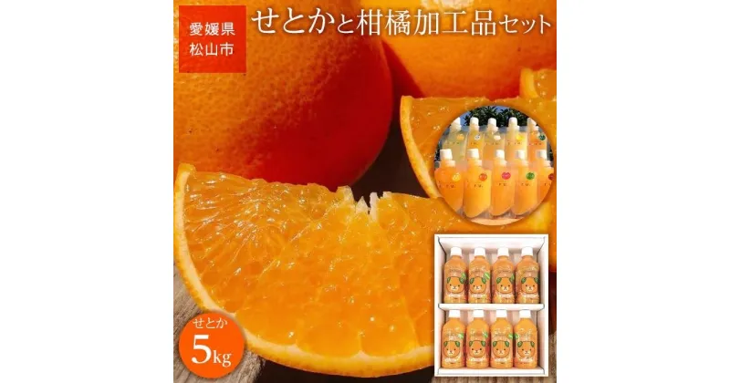 【ふるさと納税】 ＜ご家庭用＞先行予約 愛媛産 せとか5kg 柑橘加工品セット | みかん 先行予約 柑橘 果物 くだもの フルーツ お楽しみ お取り寄せ グルメ 期間限定 数量限定 人気 おすすめ ギフト 愛媛県 松山市