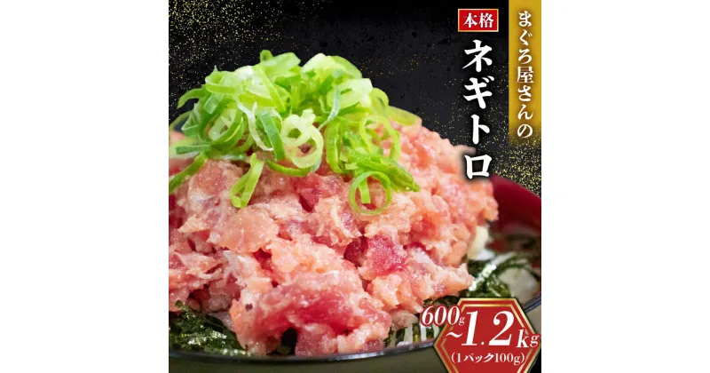 【ふるさと納税】 【発送時期が選べる】 ネギトロ 600g~1.2kg (100g × 6パック 12パック ) 小分けパック | 年内発送 ねぎとろ まぐろ 鮪 まぐろたたき 小分け 個包装 魚 魚介 海鮮 新鮮 便利 簡単調理 お手軽 手巻き 寿司 すし 冷凍 人気 おすすめ 送料無料 愛媛県 松山市