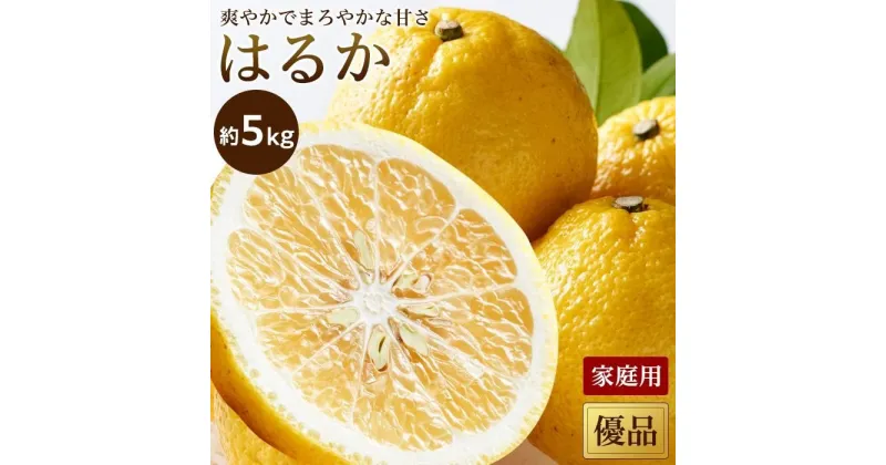 【ふるさと納税】 【2月中旬から発送】 はるか＜家庭用・優品＞約5kg | 愛媛 みかん 先行予約 蜜柑 柑橘 果物 くだもの フルーツ お取り寄せ グルメ 期間限定 数量限定 人気 おすすめ 愛媛県 松山市