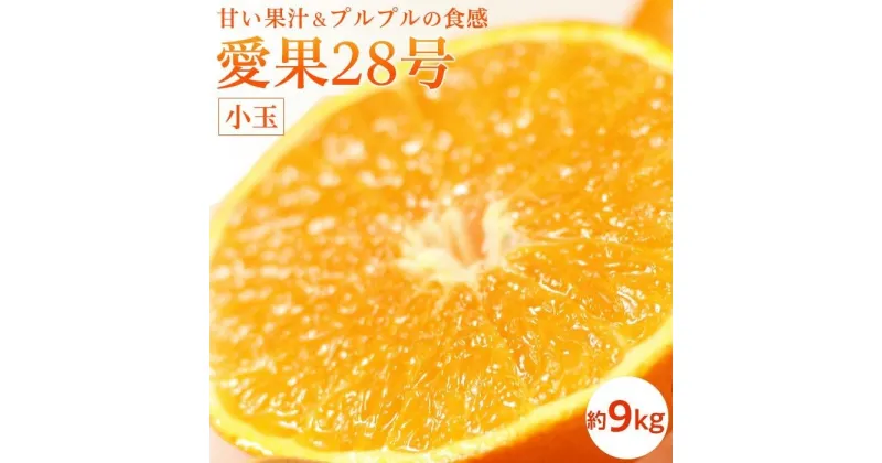 【ふるさと納税】あいか 小玉 約9kg | 愛果28号 まどんな 柑橘 みかん 果物 くだもの フルーツ おすすめ 高級 人気 お取り寄せ グルメ ギフト 期間限定 数量限定 ご当地 愛媛県 松山市