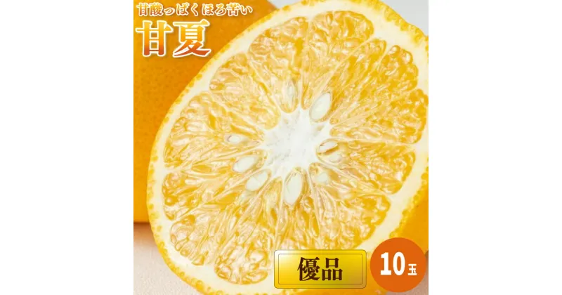 【ふるさと納税】甘夏 ＜優品＞ 10玉 | 愛媛 みかん 先行予約 蜜柑 柑橘 果物 くだもの フルーツ お取り寄せ グルメ 期間限定 数量限定 人気 おすすめ 愛媛県 松山市