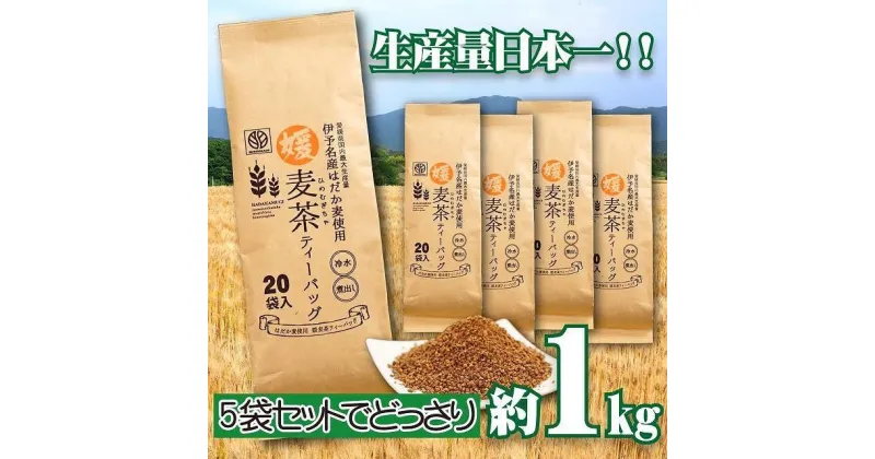 【ふるさと納税】＜生産者支援＞えひめ はだか麦 媛麦茶 1kg分 10g 20パック 5セット 茶葉 小分け 愛媛県 松山市 栄養価高 お茶 全国生産量一位