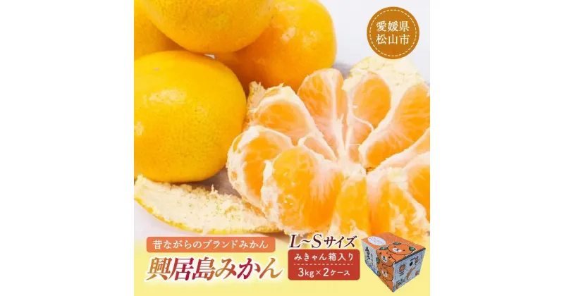 【ふるさと納税】【先行予約】 【2024年11月下旬頃発送】興居島みかん 約6kg（L～Sサイズ） みかん 柑橘 興居島 ごごしま ブランド 愛媛県 松山市