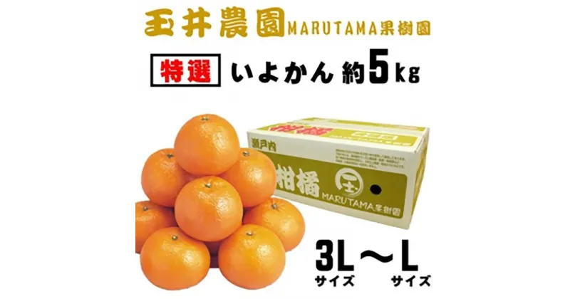 【ふるさと納税】 【先行予約】【2025年2月上旬頃発送】【特選】玉井農園のいよかん 5kg （3L～Lサイズ） 愛媛 みかん 先行予約 蜜柑 柑橘 果物 くだもの フルーツ お取り寄せ グルメ 期間限定 数量限定 人気 おすすめ 愛媛県 松山市