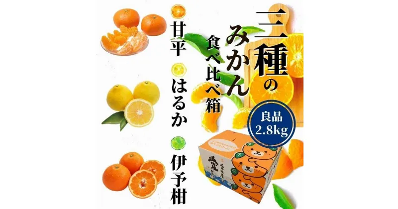 【ふるさと納税】 【三種のみかん食べ比べ箱】甘平・はるか・宮内伊予柑 （良品）2.8kg ＜2025年2月頃発送＞ | 愛媛 みかん 先行予約 蜜柑 柑橘 果物 くだもの フルーツ お取り寄せ グルメ 期間限定 数量限定 人気 おすすめ 愛媛県 松山市