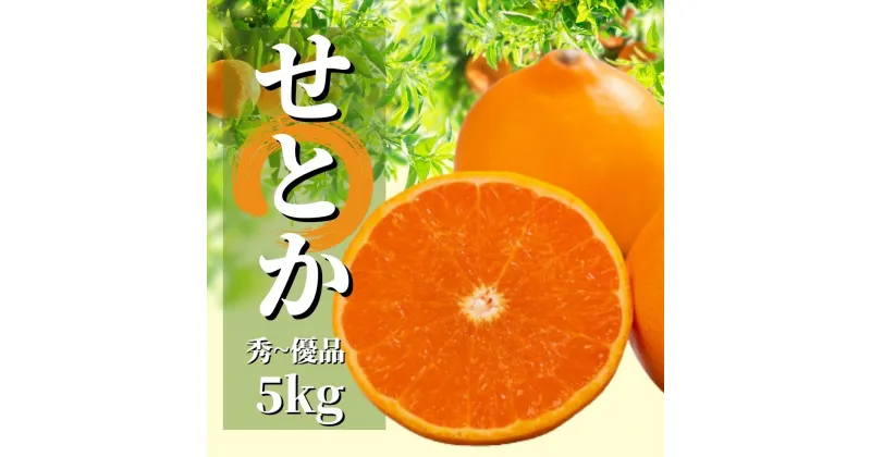 【ふるさと納税】愛媛 せとか 秀~優品 約5kg ＜2025年2月から3月頃発送＞ | みかん 先行予約 柑橘 果物 くだもの フルーツ お楽しみ お取り寄せ グルメ 期間限定 数量限定 人気 おすすめ ギフト 愛媛県 松山市