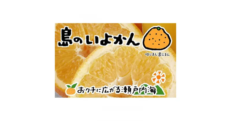 【ふるさと納税】 【1月下旬から発送】 伊予柑 4kg いよかん 愛媛 中島産 | 愛媛 みかん 先行予約 蜜柑 柑橘 果物 くだもの フルーツ お取り寄せ グルメ 期間限定 数量限定 人気 おすすめ 愛媛県 松山市