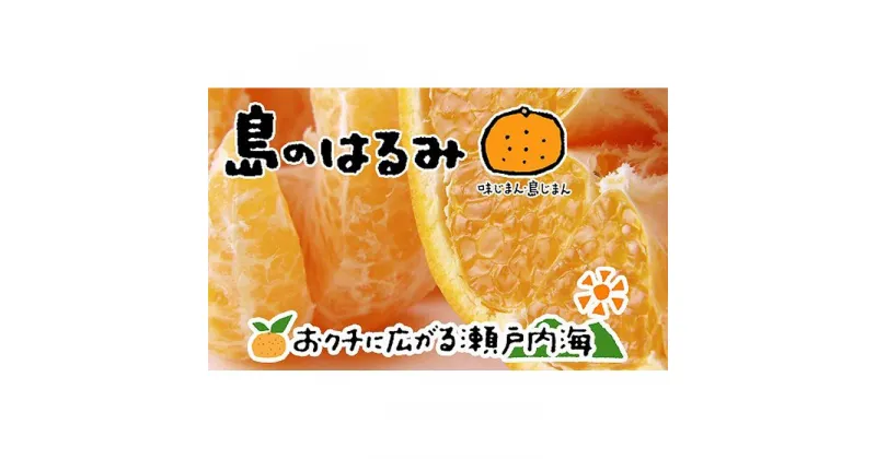 【ふるさと納税】 【2月中旬から発送】 はるみ 4kg 愛媛 中島産 | 愛媛 みかん 先行予約 蜜柑 柑橘 果物 くだもの フルーツ お取り寄せ グルメ 期間限定 数量限定 人気 おすすめ 愛媛県 松山市