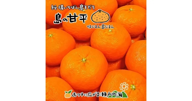 【ふるさと納税】 【2月中旬から発送】 甘平 ( かんぺい ) 約3kg 家庭用 愛媛 中島産 | 愛媛 みかん 先行予約 蜜柑 柑橘 果物 くだもの フルーツ お取り寄せ グルメ 期間限定 数量限定 人気 おすすめ 愛媛県 松山市