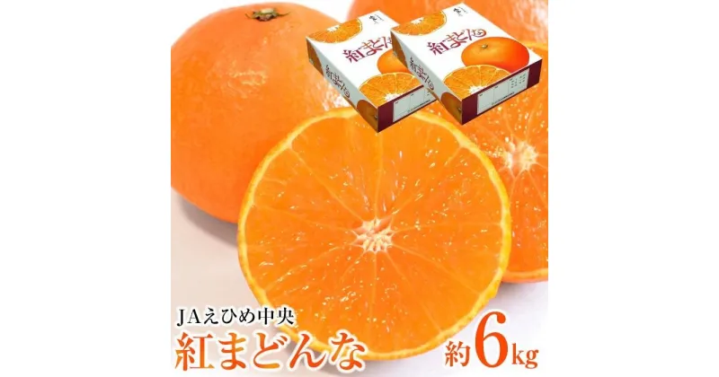 【ふるさと納税】 JAえひめ中央【紅まどんな】化粧箱2箱 6kg 〇等級 | 愛媛 みかん 蜜柑 柑橘 果物 くだもの フルーツ お取り寄せ グルメ 期間限定 数量限定 人気 おすすめ 愛媛県 松山市