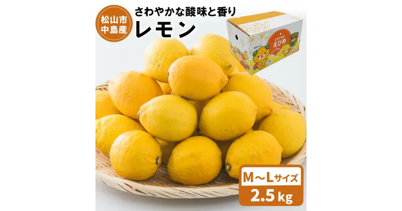 【ふるさと納税】 【11月中旬から発送】 中島産 レモン M～Lサイズ　2.5kg | 先行予約 愛媛 レモン 柑橘 果物 くだもの フルーツ お取り寄せ グルメ 期間限定 数量限定 人気 おすすめ 愛媛県 松山市 フジ・アグリフーズ