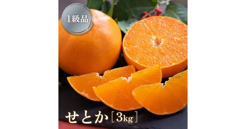 【ふるさと納税】 【2月下旬より発送】 せとか 3kg 【1級品】 | みかん 愛媛 先行予約 柑橘 果物 くだもの フルーツ お楽しみ お取り寄せ グルメ 期間限定 数量限定 人気 おすすめ ギフト 愛媛県 松山市