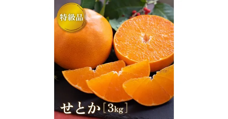 【ふるさと納税】 【2月下旬より発送】 せとか 3kg 【特級品】 | みかん 愛媛 先行予約 柑橘 果物 くだもの フルーツ お楽しみ お取り寄せ グルメ 期間限定 数量限定 人気 おすすめ ギフト 愛媛県 松山市