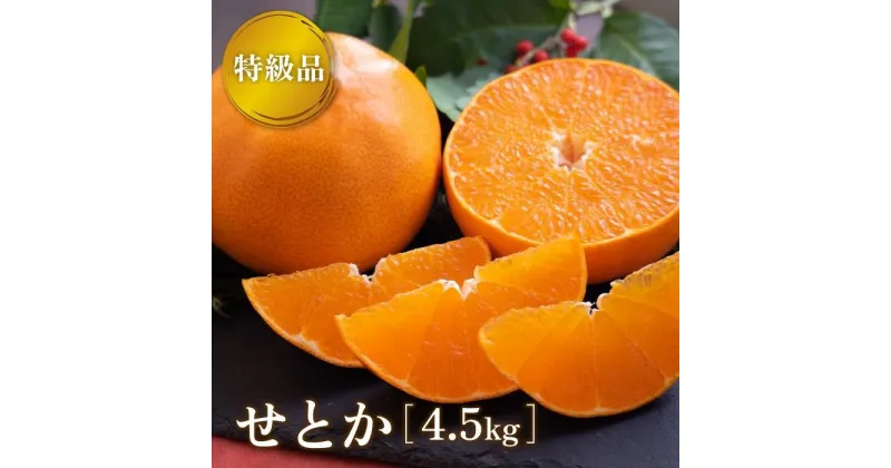 【ふるさと納税】 【2月下旬より発送】 先行予約 特級品 せとか 4.5kg | みかん 愛媛 先行予約 柑橘 果物 くだもの フルーツ お楽しみ お取り寄せ グルメ 期間限定 数量限定 人気 おすすめ ギフト 愛媛県 松山市